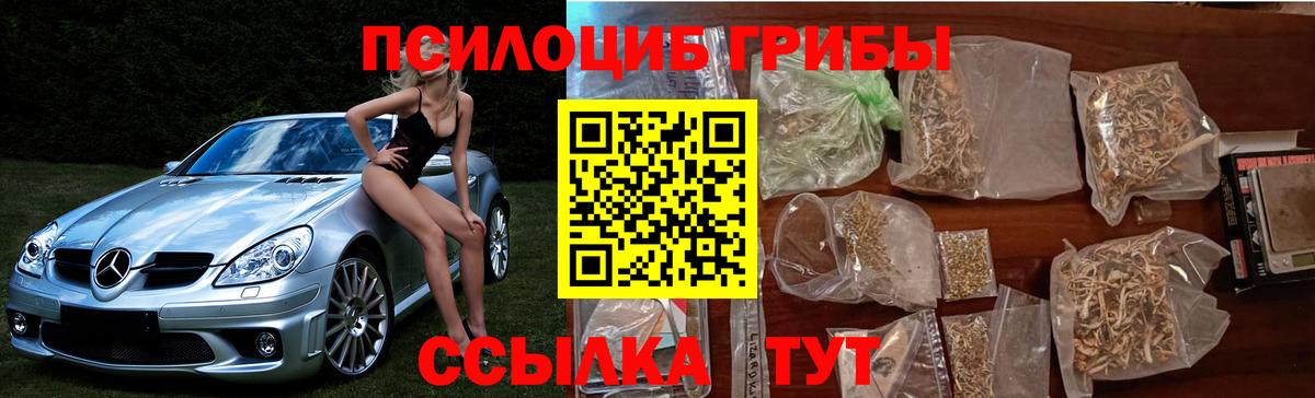 Галлюциногенные грибы Psilocybe  Вход с VPN  Волжск 